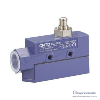 CZ-6001 Düz Başlıklı Pimli Limit Switch 1NO+1NC