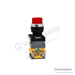 GR22-4711-2-RD Kırmızı Led Işıklı 24V Kalıcı 0-1 Mandal Buton 1NO-1NC Kontaklı (LA38 Serisi)